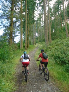 Jeanette and Steven climbing through Pen y Bylchau woods.